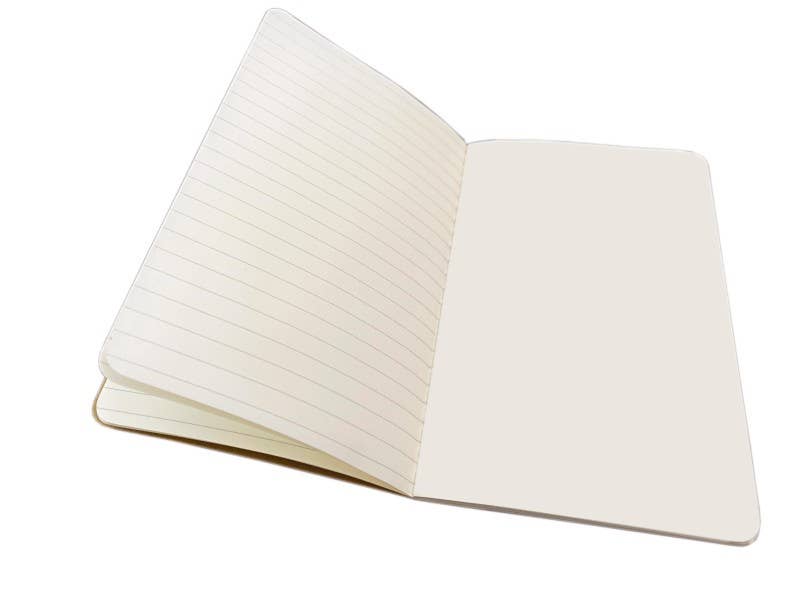 Set of 3 Midi Notebooks- Botanical Bees